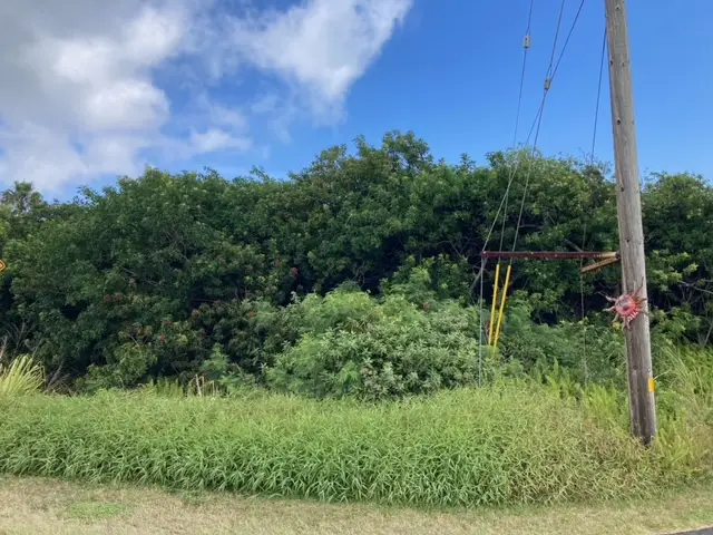 Kaulua St, Naalehu, HI 96772 - #1