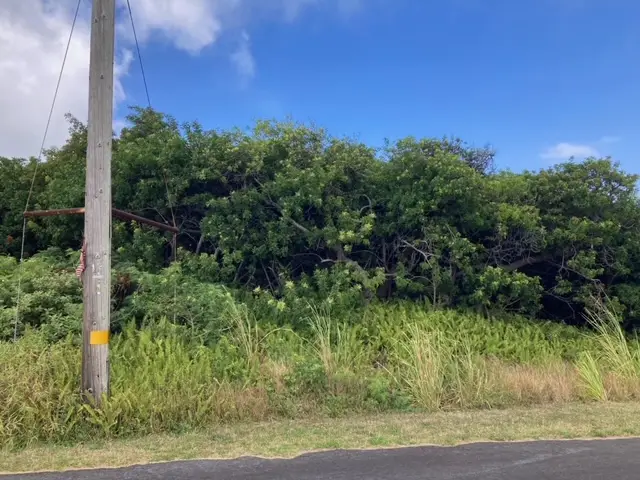 Kaulua St, Naalehu, HI 96772 - #2