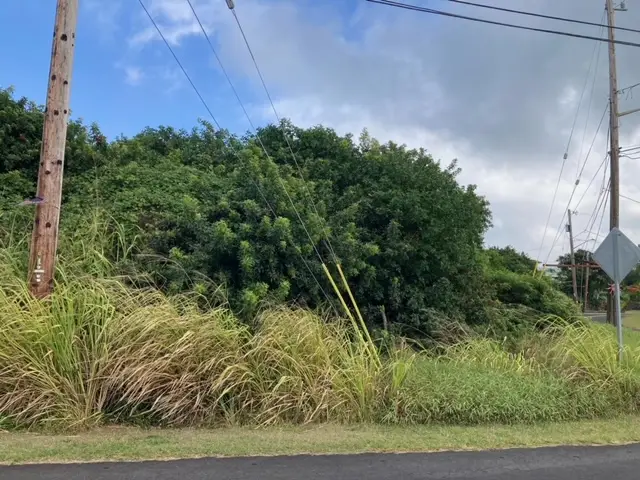 Kaulua St, Naalehu, HI 96772 - #3
