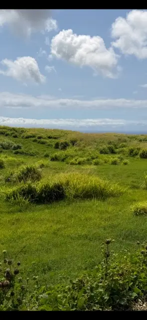 Address Withheld By Seller, Naalehu, HI 96772 - #1