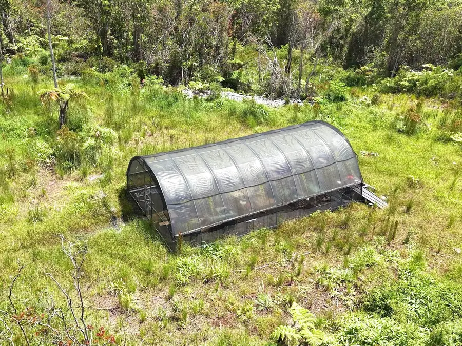 Lehuanani St, Volcano, HI 96785 - #2