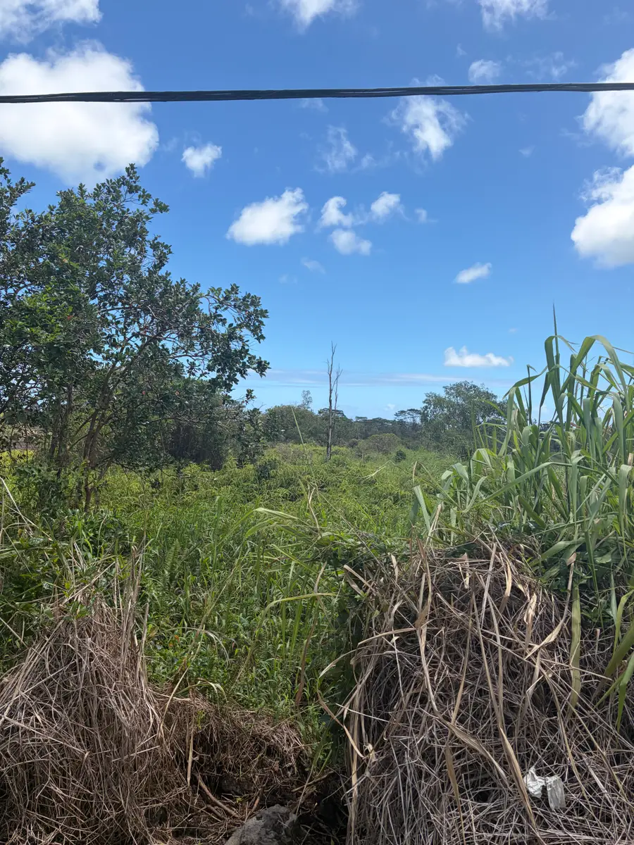 Road 9 (koloa Maoli), Kurtistown, HI 96760 - #2