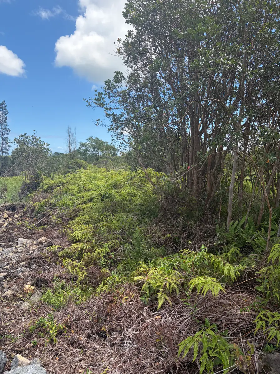 Road 9 (koloa Maoli), Kurtistown, HI 96760 - #3