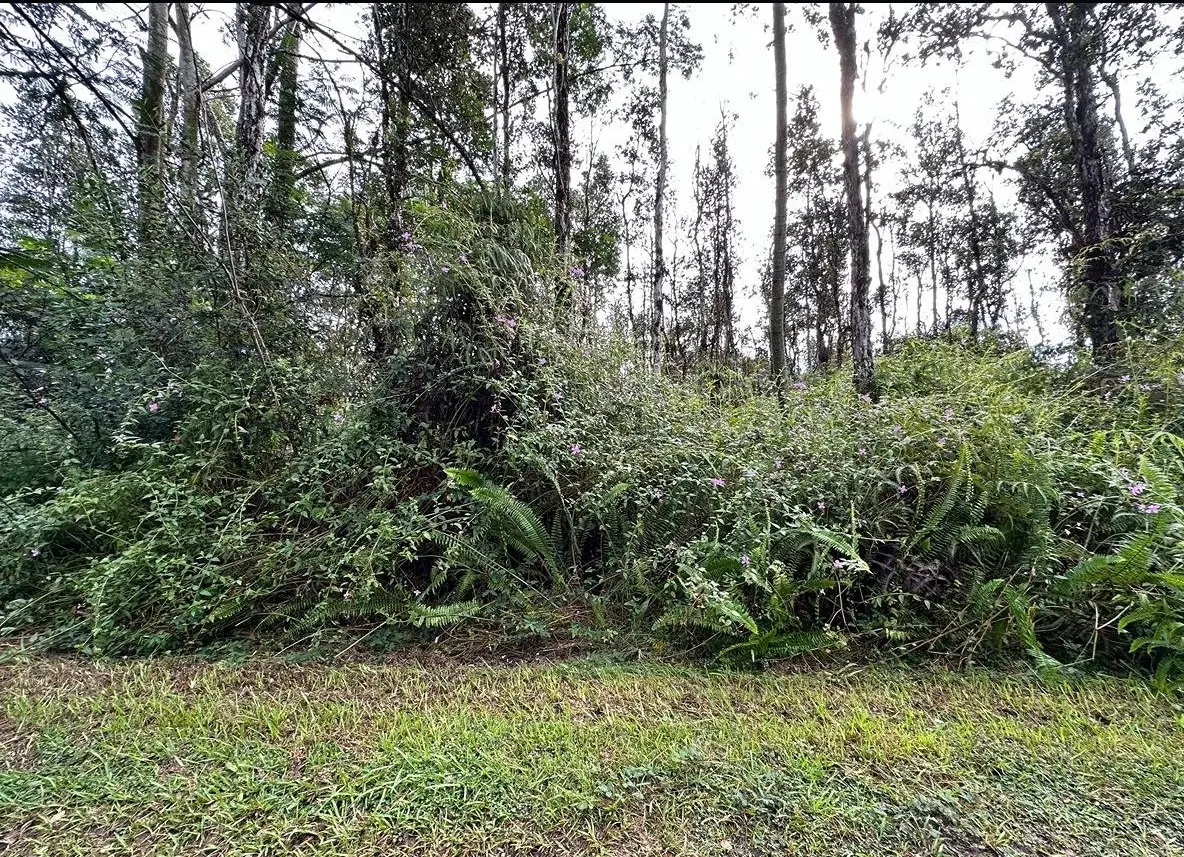 14-881 Flower Rd, Pahoa, HI 96778 - #1