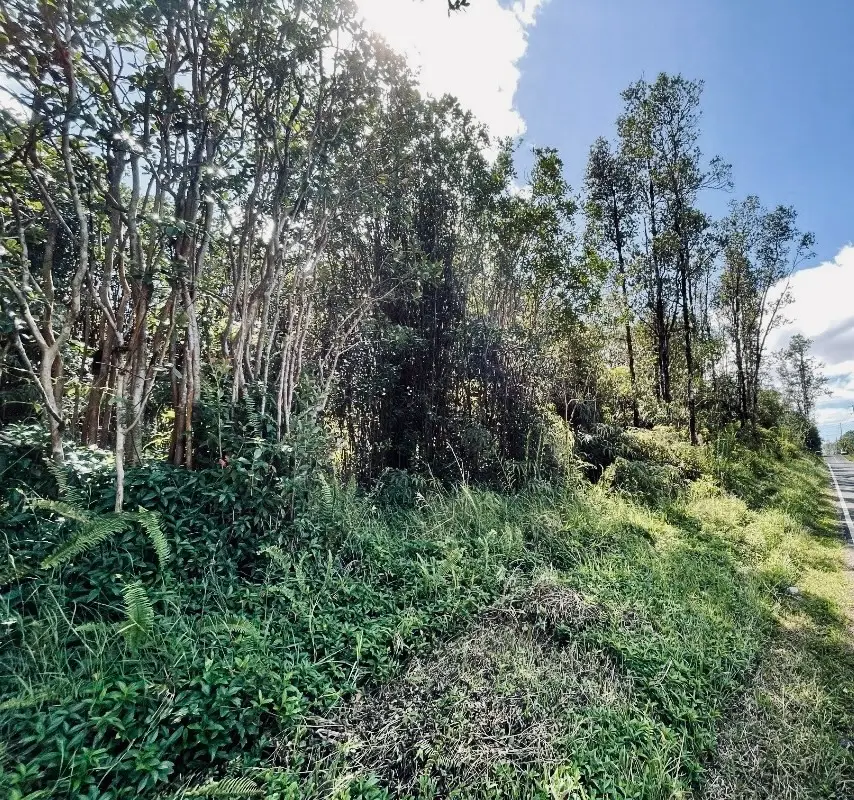 Road 8 (moho), Hawaiian Acres, HI 96760 - #3