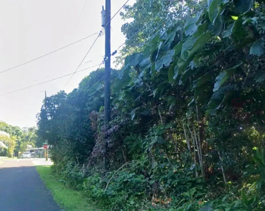 Opihi St, Pahoa, HI 96778 - #3