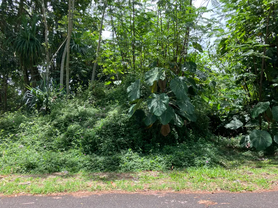 Opakapaka St, Pahoa, HI 96778 - #3