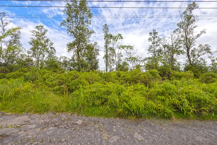Road 8 (moho), Kurtistown, HI 96760 - #3