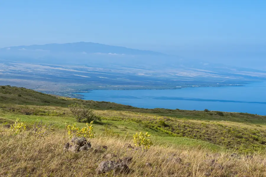 Lehiwa Way, Kamuela, HI 96743 - #2