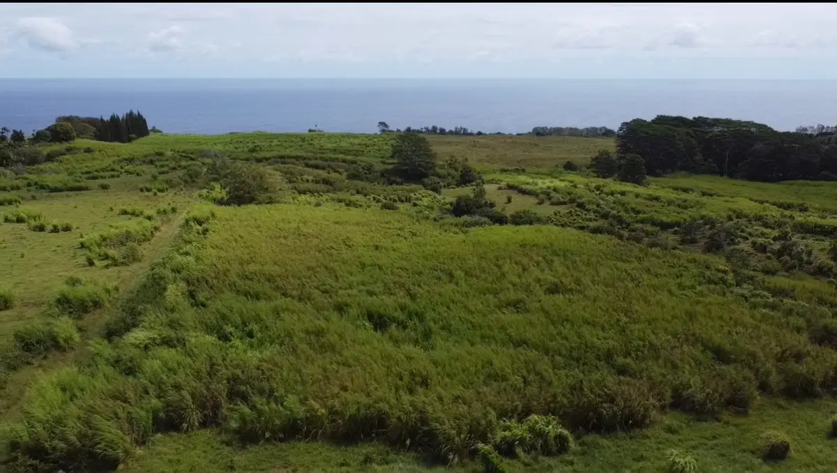 1-3 Private Rd, Hakalau, HI 96710 - #1
