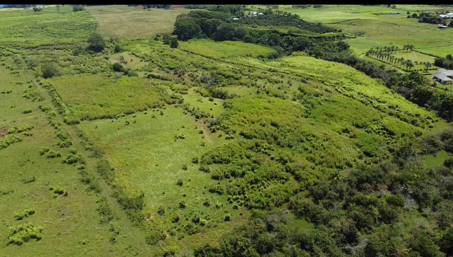 1-3 Private Rd, Hakalau, HI 96710 - #2