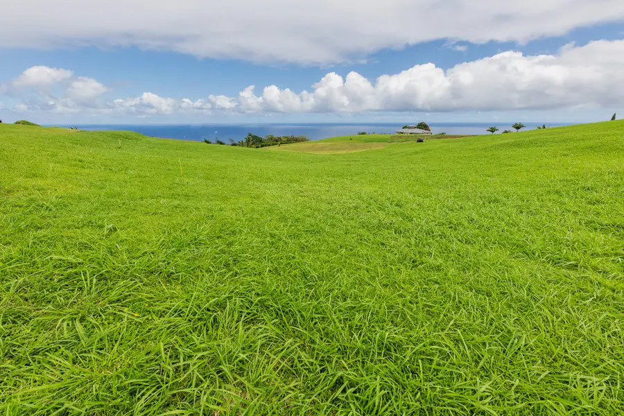 36-3358 Kuwili Lani Pl, Laupahoehoe, HI 96764 - #2