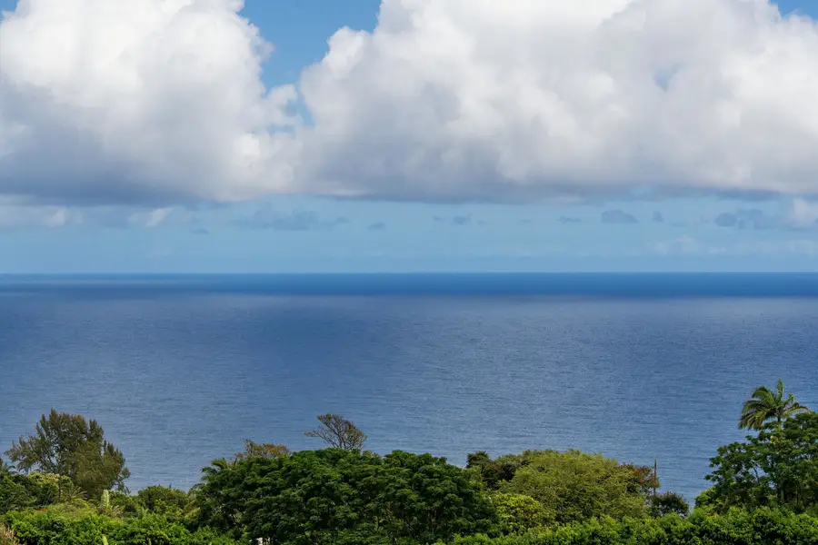 36-3358 Kuwili Lani Pl, Laupahoehoe, HI 96764 - #3