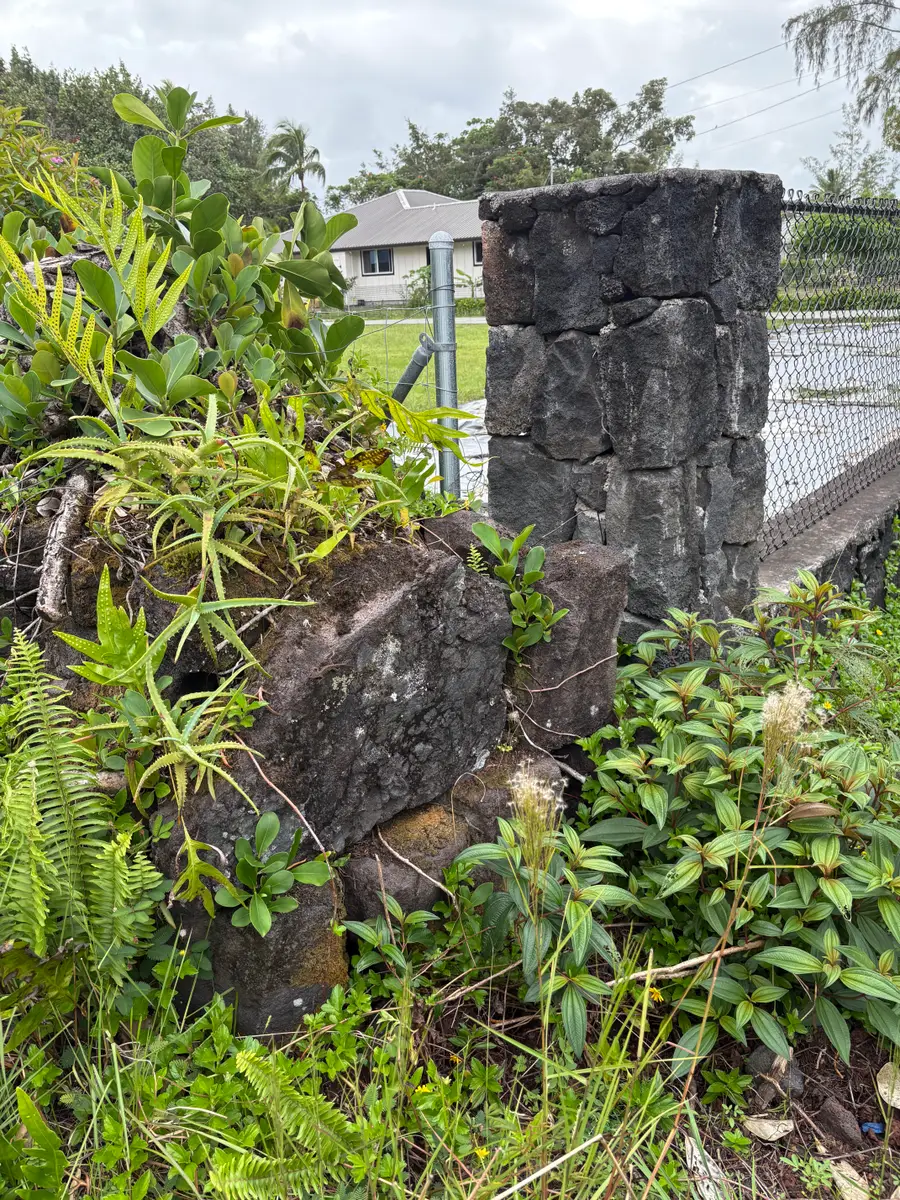 Kukane Rd, Keaau, HI 96749 - #2
