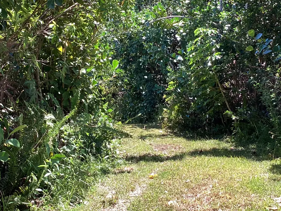 Kukane Rd, Keaau, HI 96749 - #3