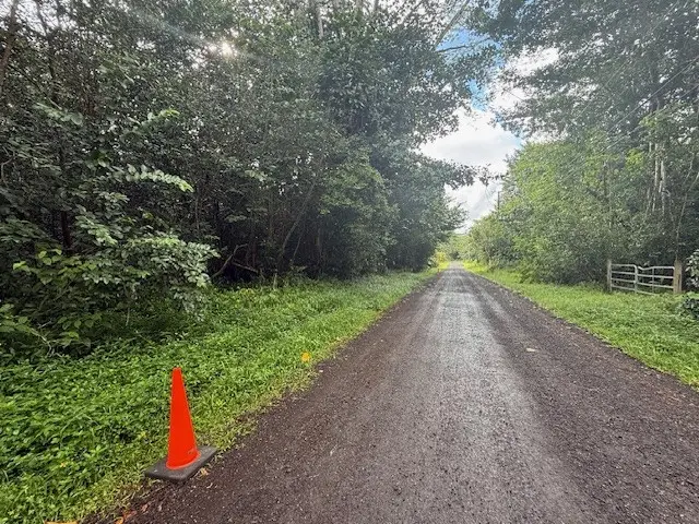 15-1414 12th Ave, Keaau, HI 96749 - #3