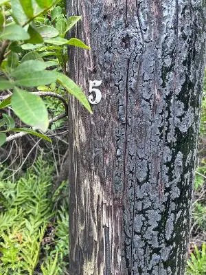Holowai St, Naalehu, HI 96772 - #1