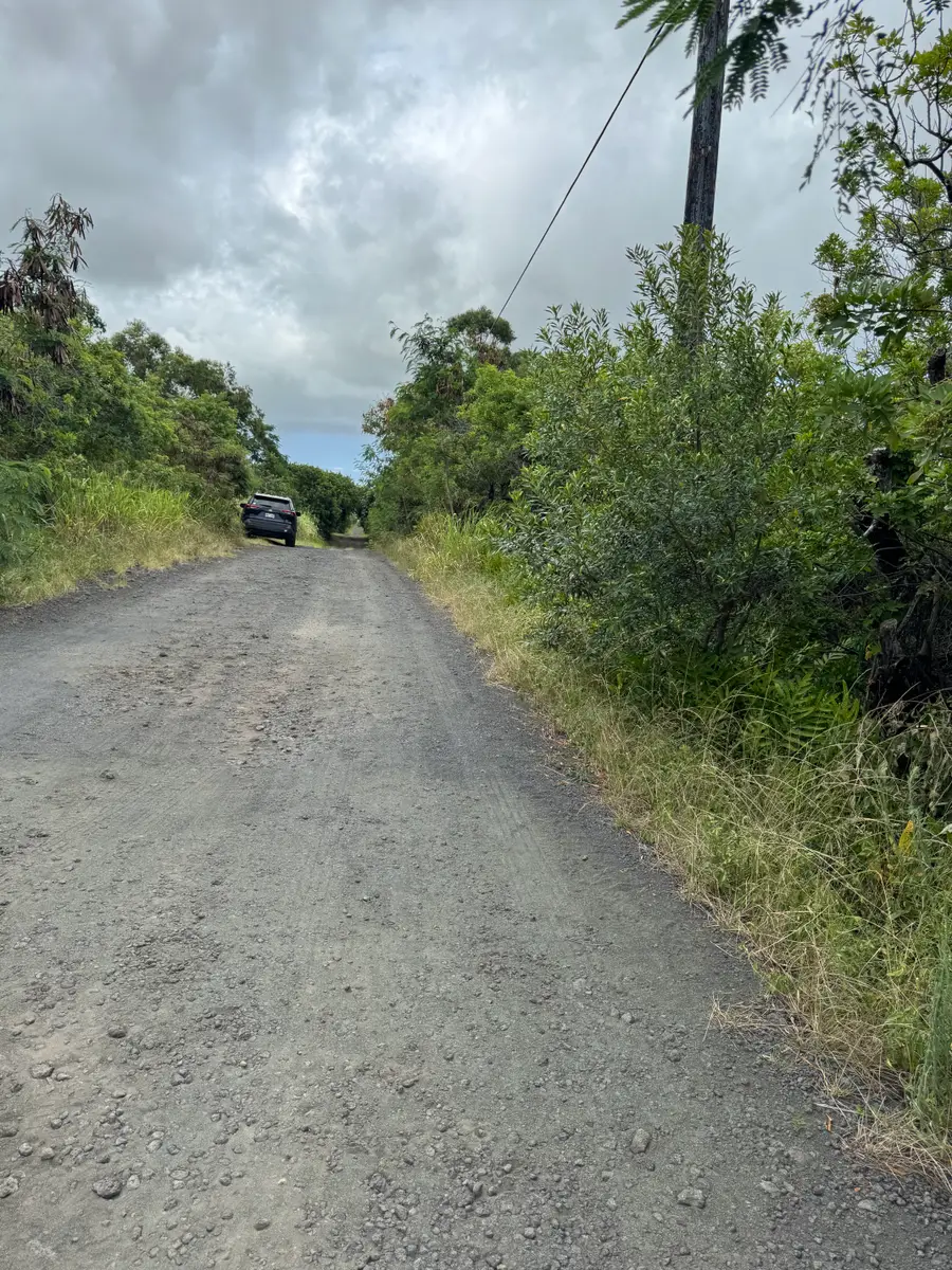 Holowai St, Naalehu, HI 96772 - #3