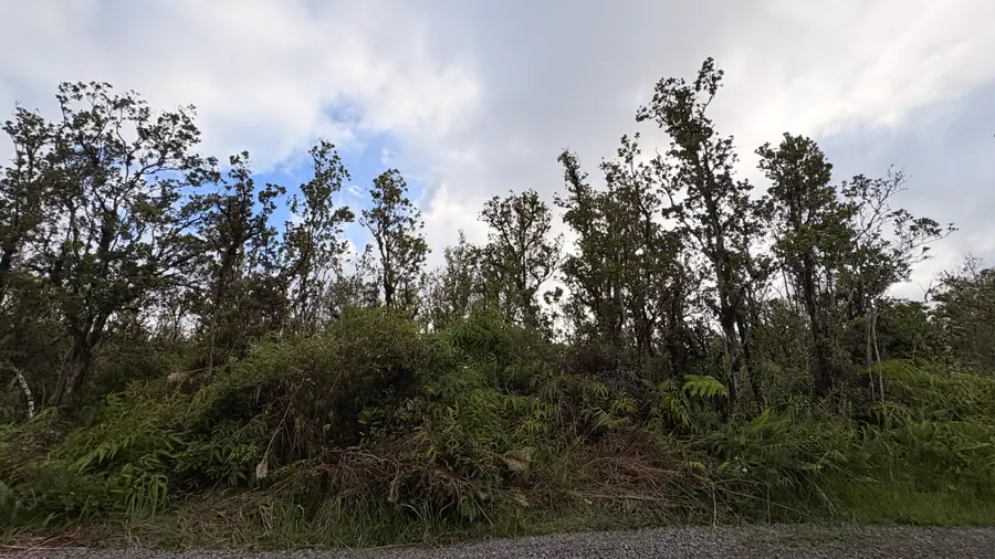 11-3275 Malia Aina Rd, Volcano, HI 96785 - #2