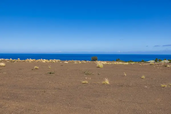 62-6031 Amaui Lani Pl, Kamuela, HI 96743
