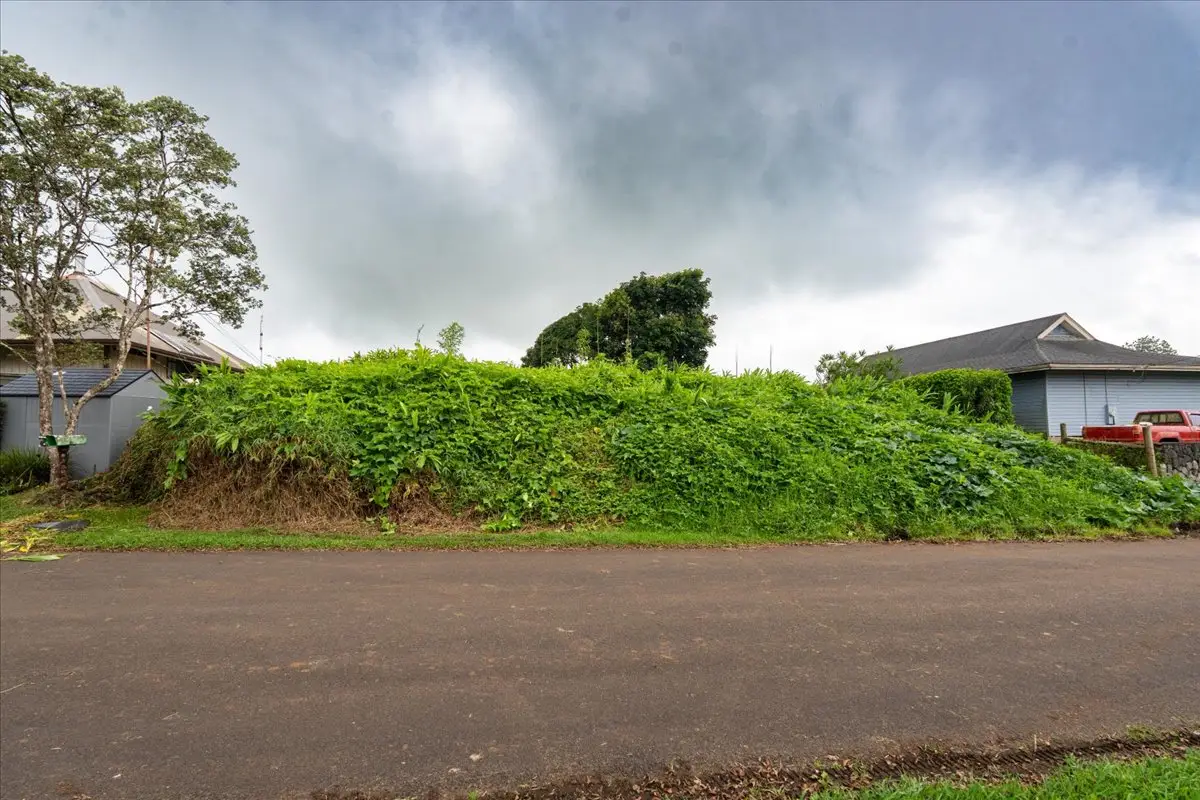 Noekolo St, Kamuela, HI 96743 - #1