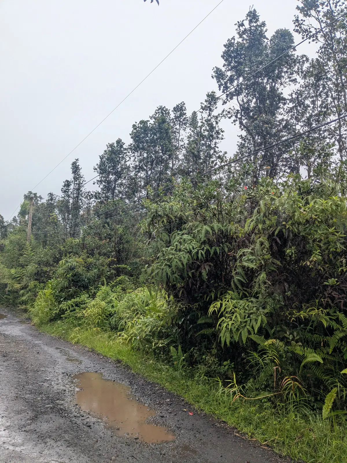 Road 3 (hopue), Mountain View, HI 96771 - #1