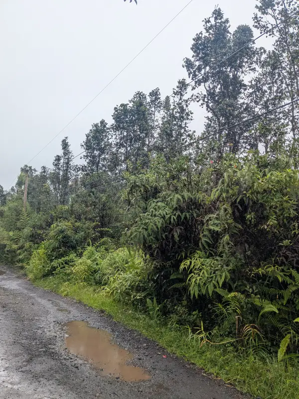 Road 3 (hopue), Mountain View, HI 96771