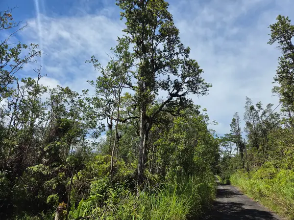 Road 3 (hopue), Kurtistown, HI 96760