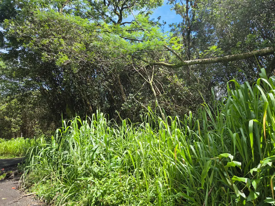 Road 3 (hopue), Kurtistown, HI 96760 - #3