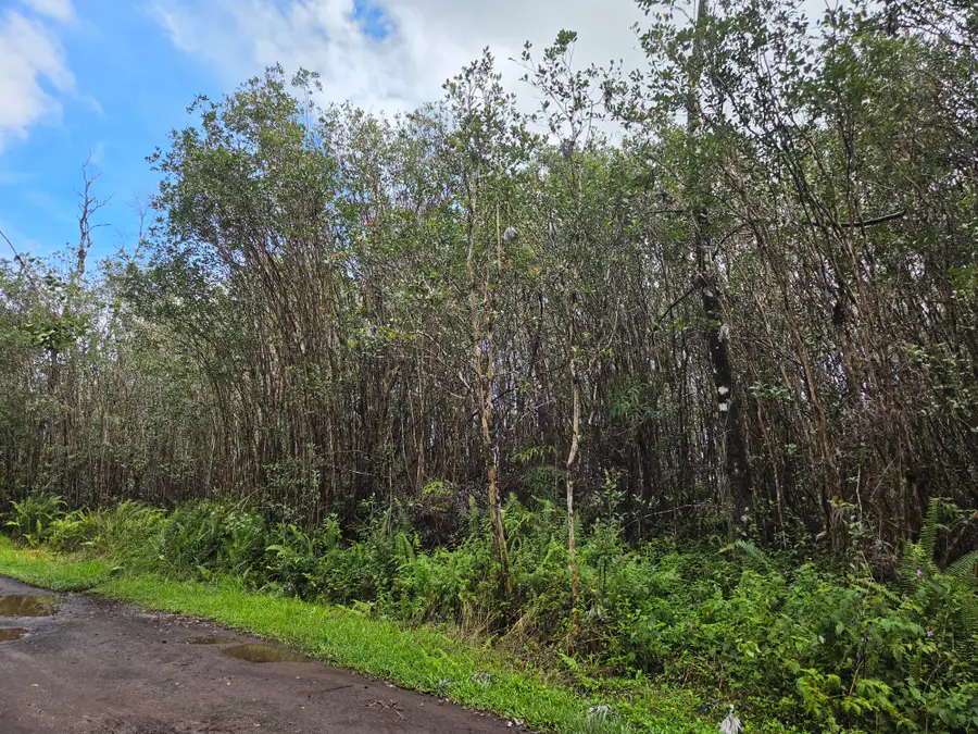 Road 5 (uau), Kurtistown, HI 96760 - #3