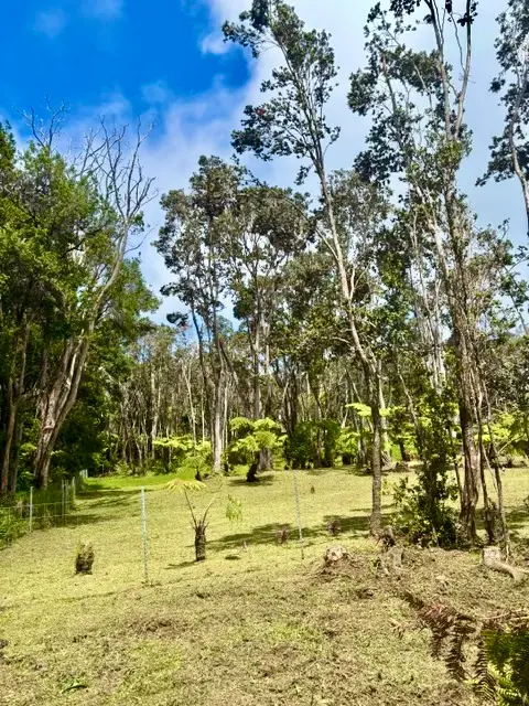 Haunani Rd, Volcano, HI 96785 - #2