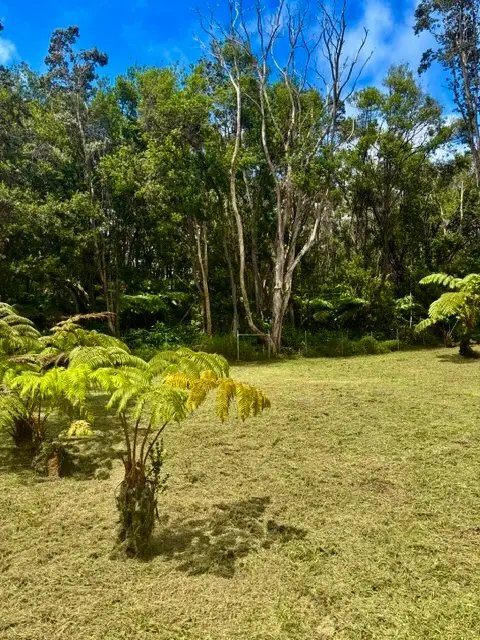 Haunani Rd, Volcano, HI 96785 - #3
