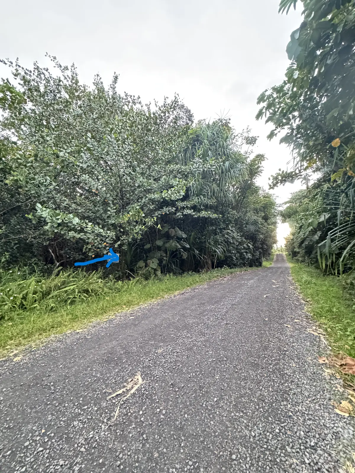 4th Ave (awapuhi), Keaau, HI 96749 - #1