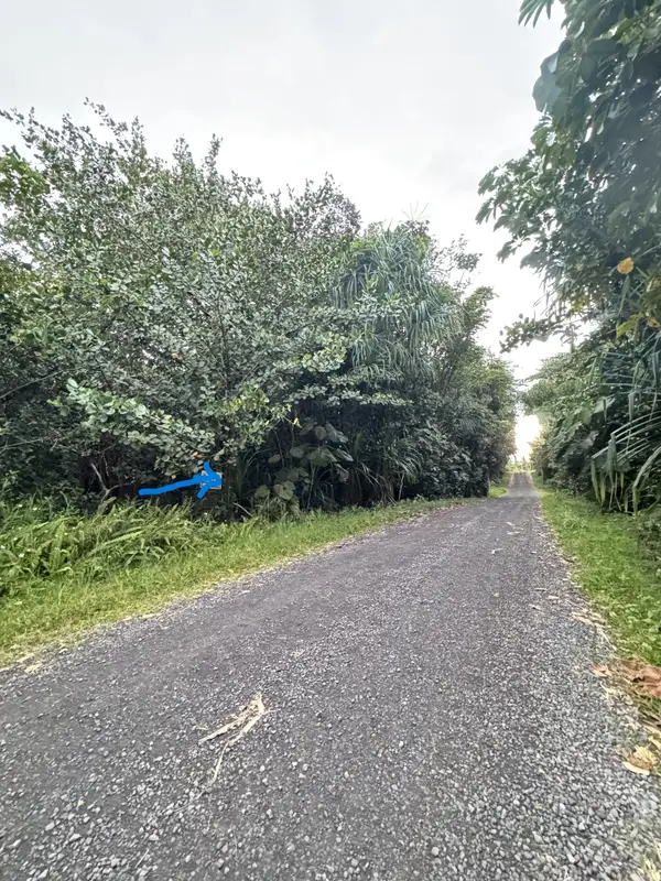 4th Ave (awapuhi), Keaau, HI 96749