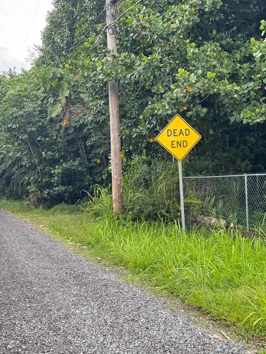 4th Ave (awapuhi), Keaau, HI 96749 - #3