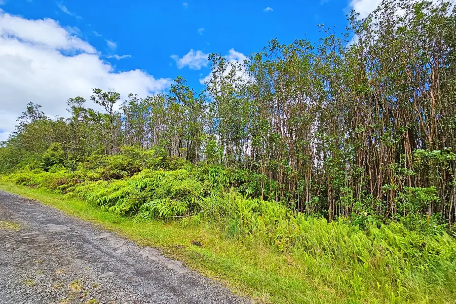 Ala Naulani Rd #Lot 46, Volcano, HI 96785 - #3