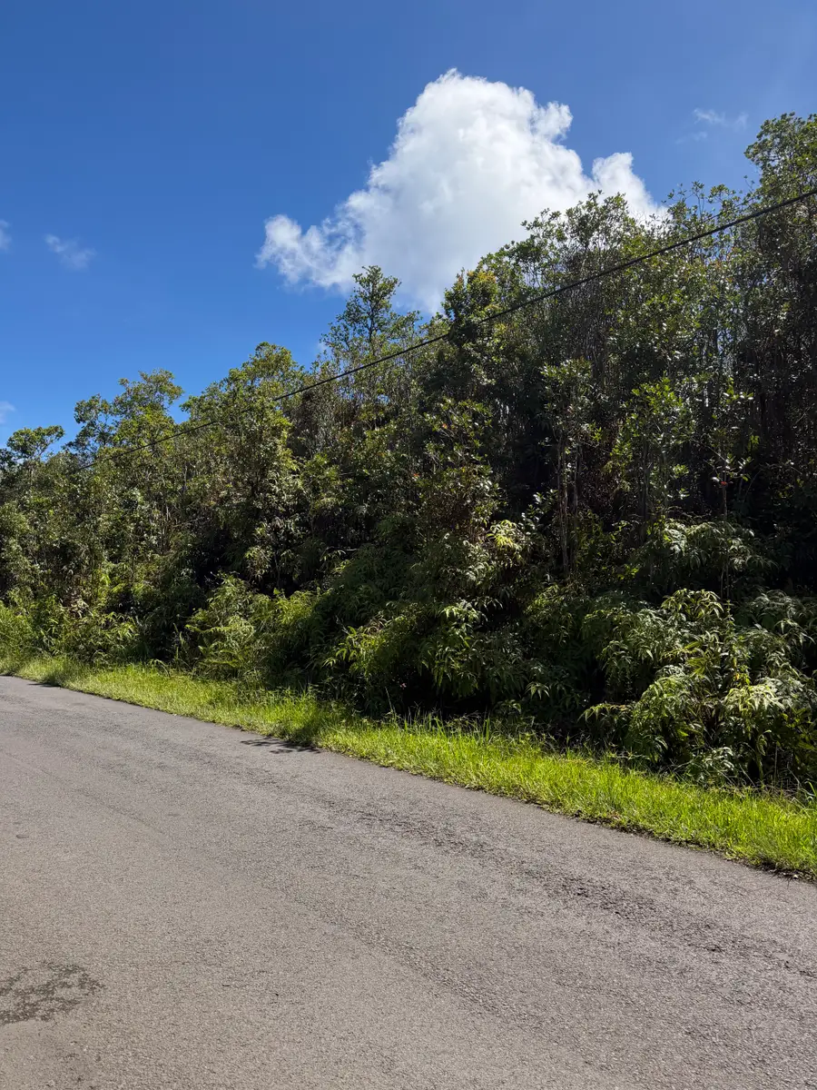 Ohia Ave, Mountain View, HI 96771 - #3