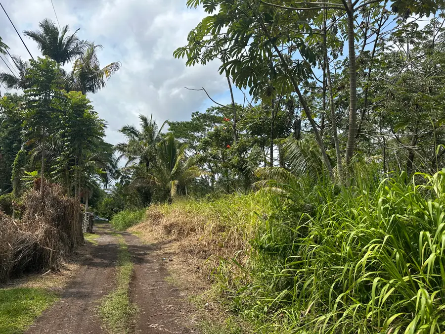 Tiki Rd, Keaau, HI 96749 - #2