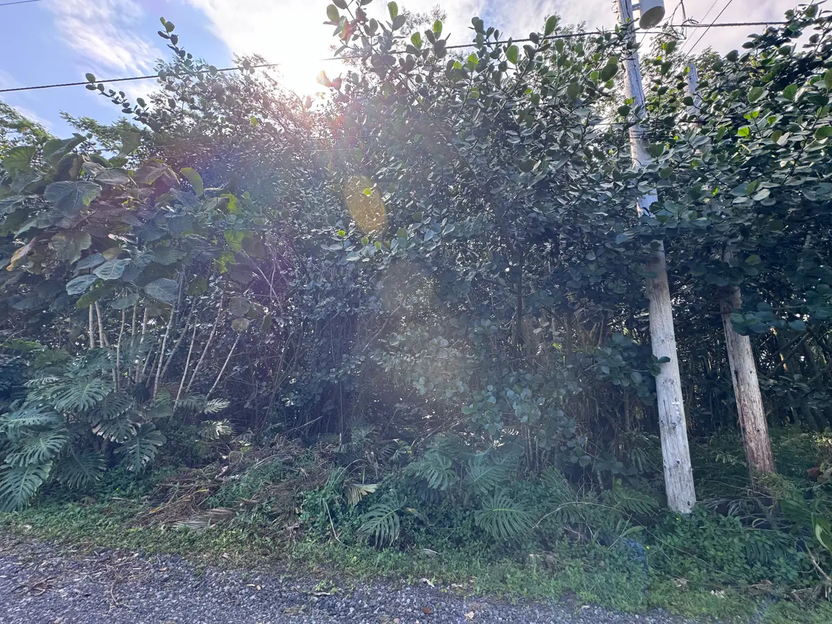 7th Ave, Keaau, HI 96749 - #1