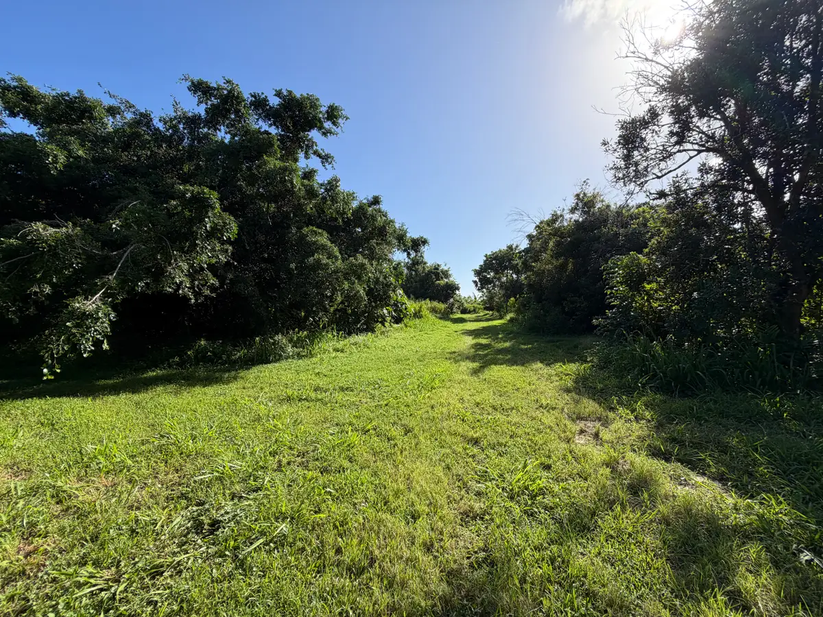 13-2056 Lolia Pl, Pahoa, HI 96778 - #1