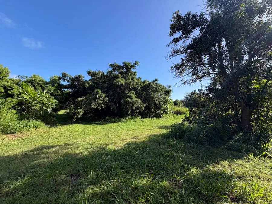 13-2056 Lolia Pl, Pahoa, HI 96778 - #2