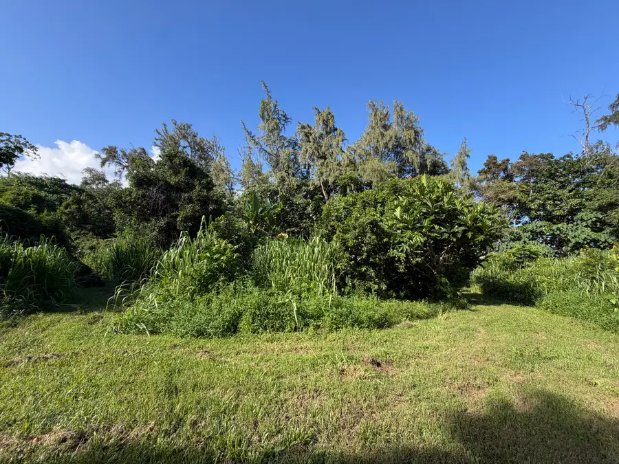 13-2056 Lolia Pl, Pahoa, HI 96778 - #3