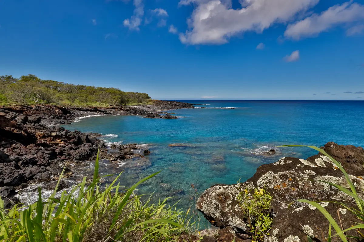 56-101 Pualani Rd, Hawi, HI 96719 - #1