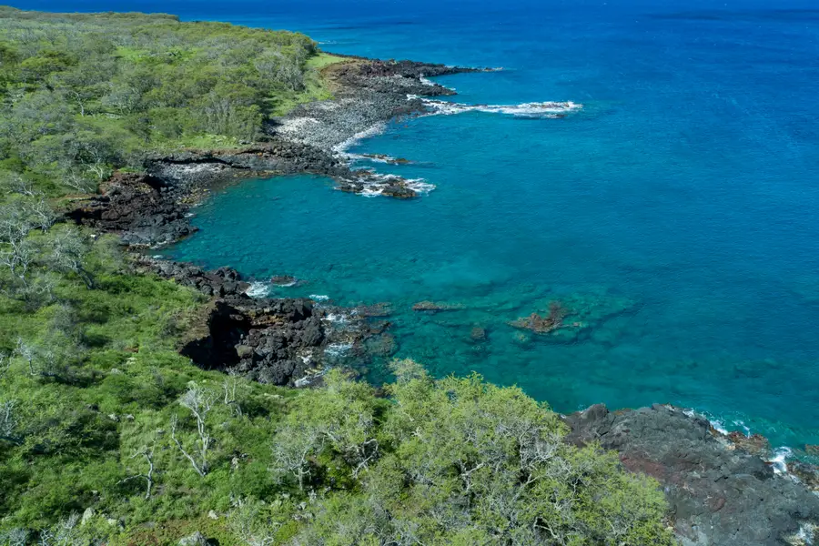 56-101 Pualani Rd, Hawi, HI 96719 - #2