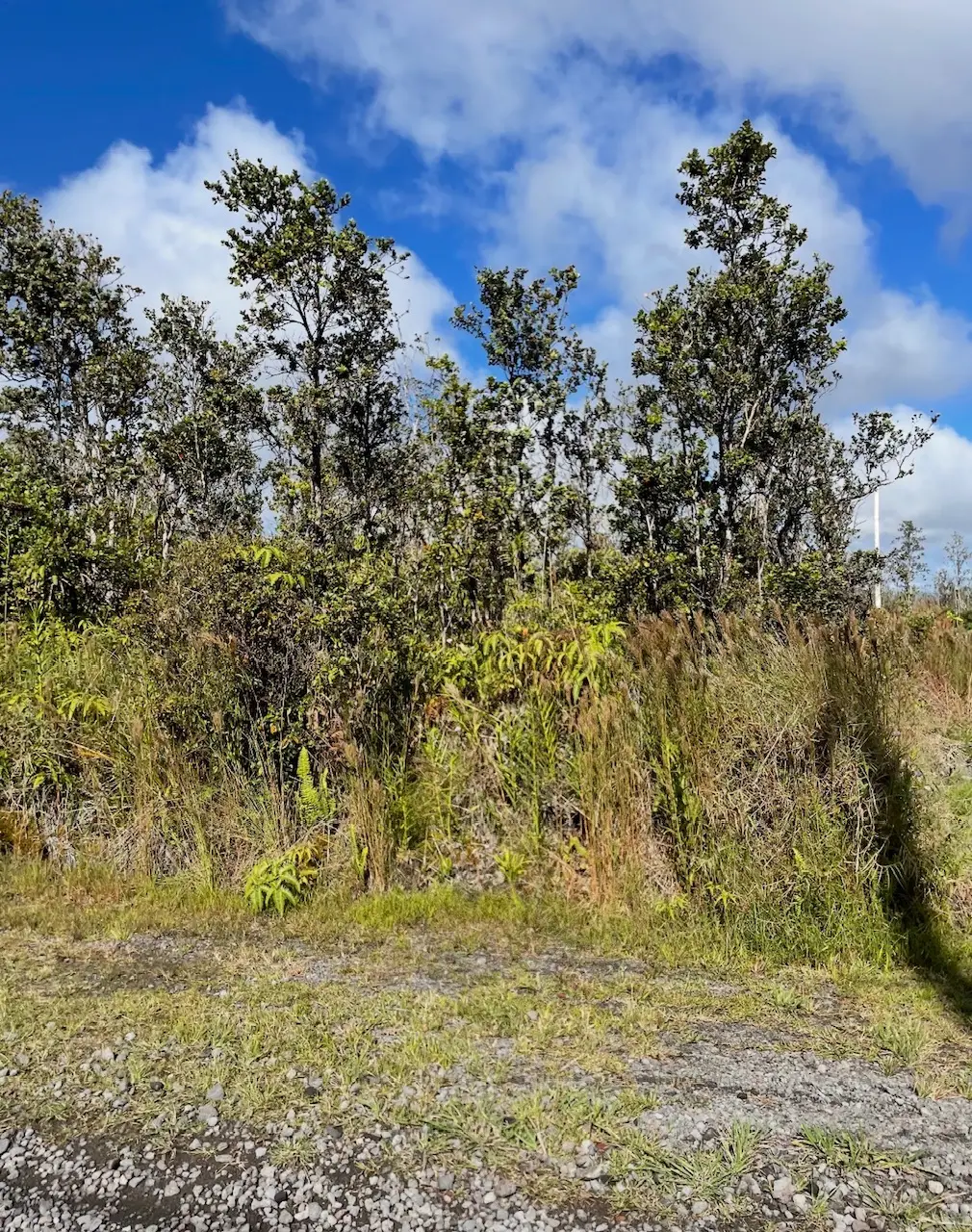 11-2698 Kaleponi Dr, Volcano, HI 96785 - #1