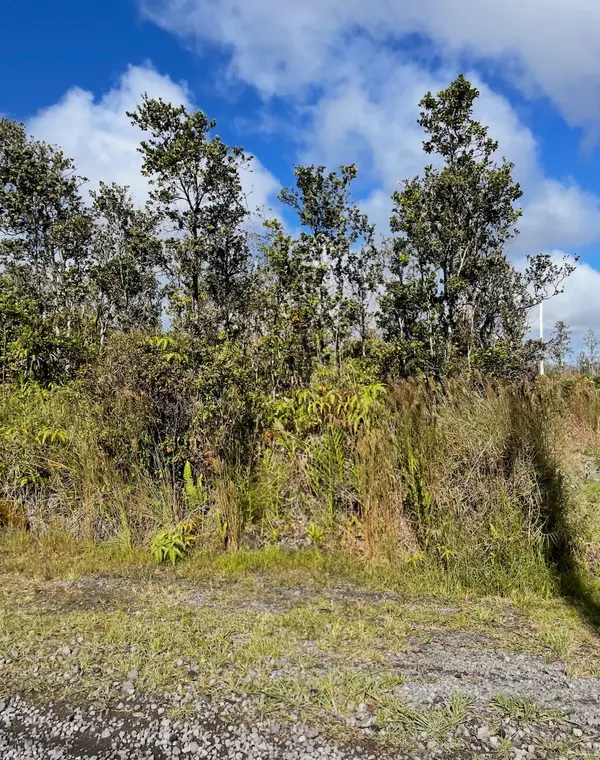 11-2698 Kaleponi Dr, Volcano, HI 96785