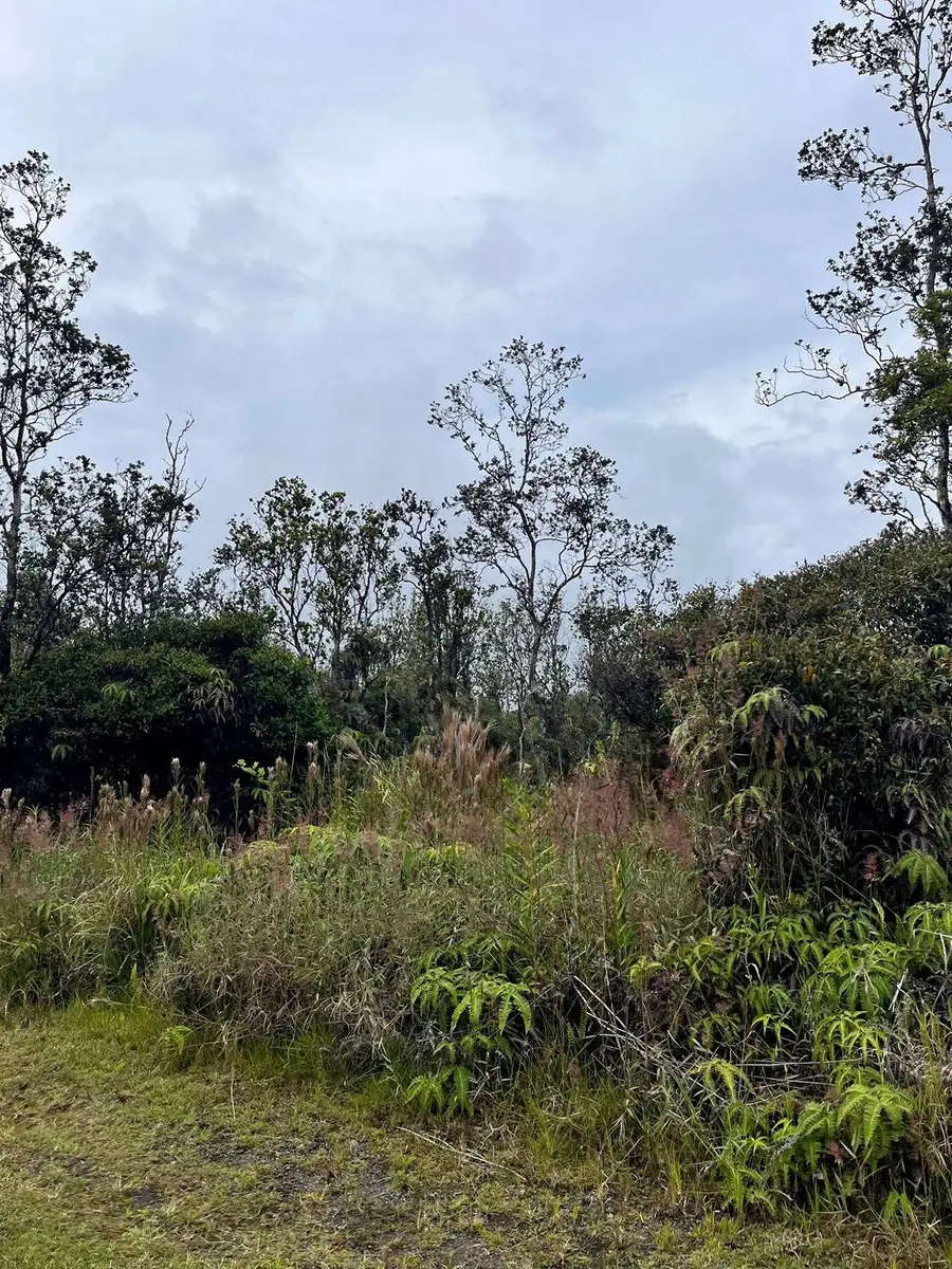 11-2698 Kaleponi Dr, Volcano, HI 96785 - #3