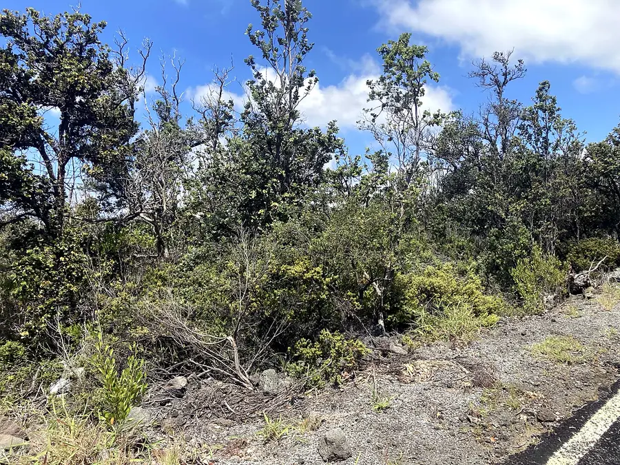Pineapple Pkwy, Ocean View, HI 96737 - #2