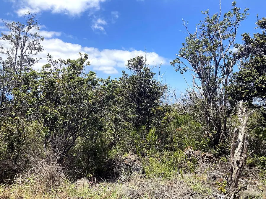 Pineapple Pkwy, Ocean View, HI 96737 - #3