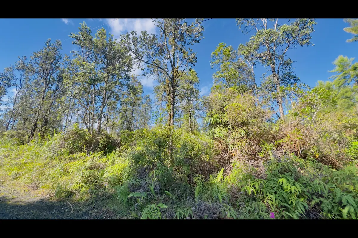 Road 2 (ao), Kurtistown, HI 96760 - #1
